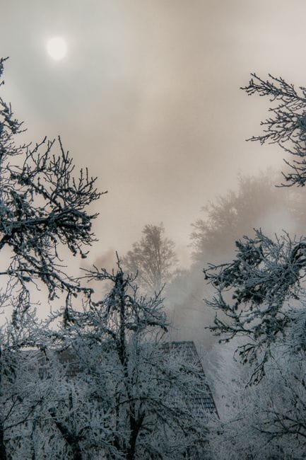 Honest Limitations: What Fog Lights Cannot Do - best fog lights